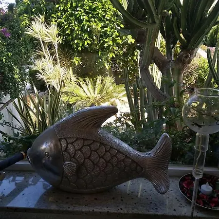 Villa Soleil *